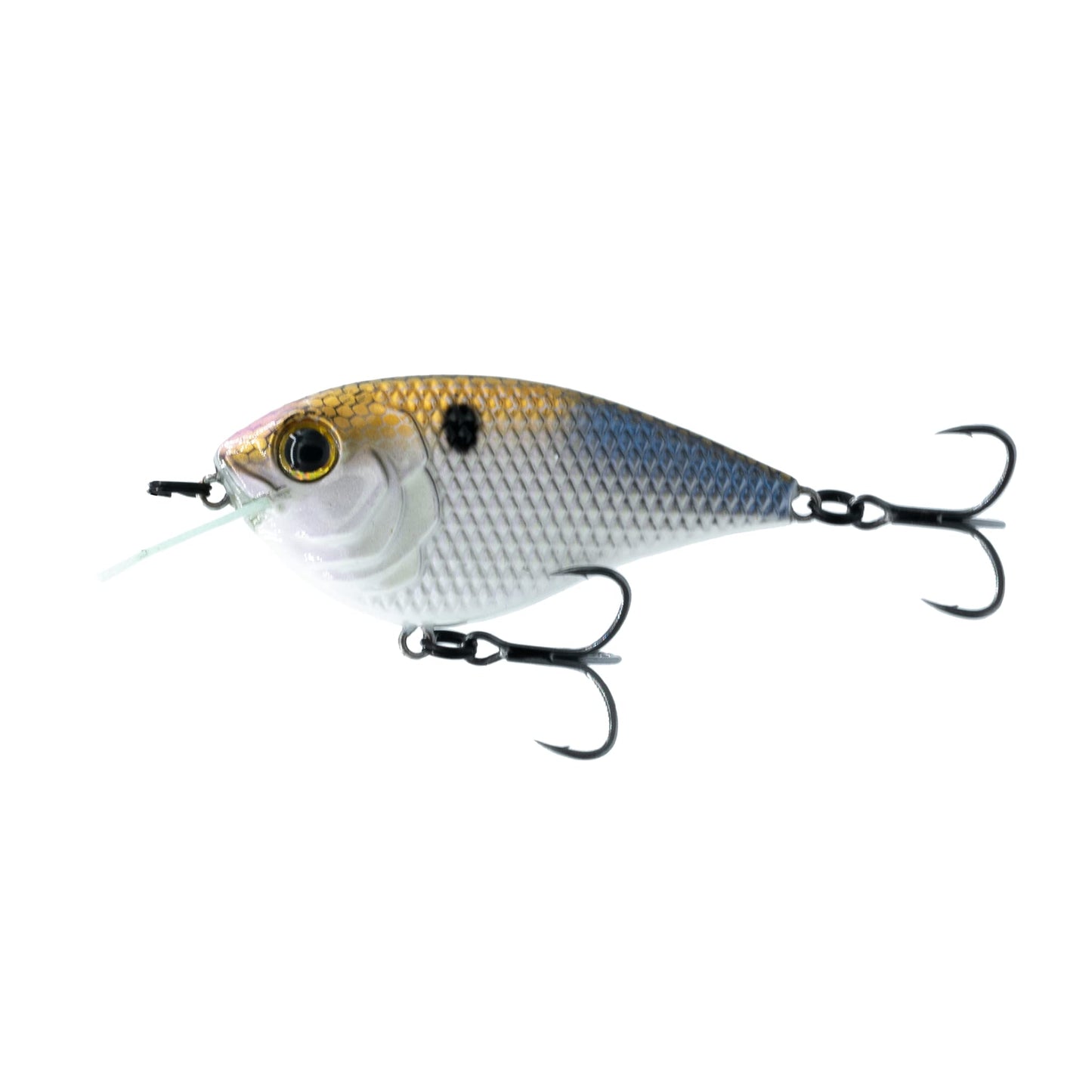 6th Sense Flat Finesse F4 Crankbait – Great Castability with Tight Wobble Action, Internal Weight Transfer for Long Distance Casting, and Circuit Board Bill