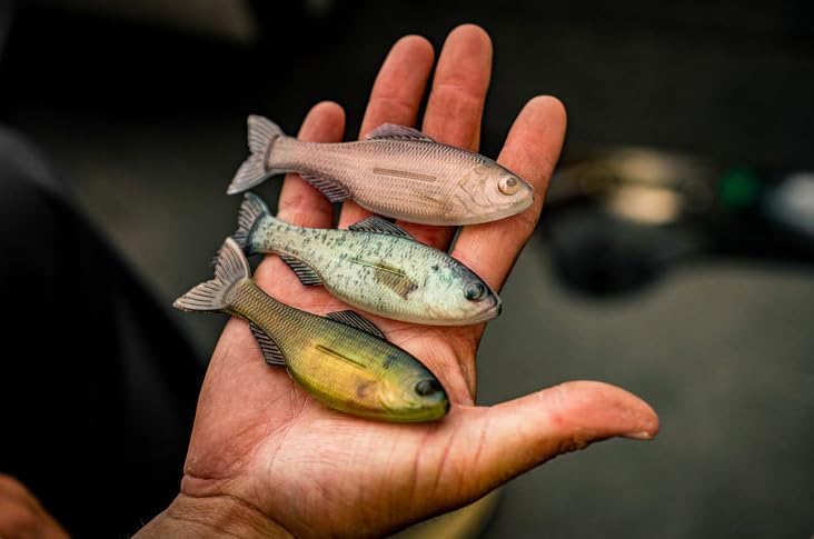 6th Sense - Plump Panorama – Bass Fishing Lure – Extra Thick Body, Realistic Baitfish Profile, Multi-Purpose Soft Plastic