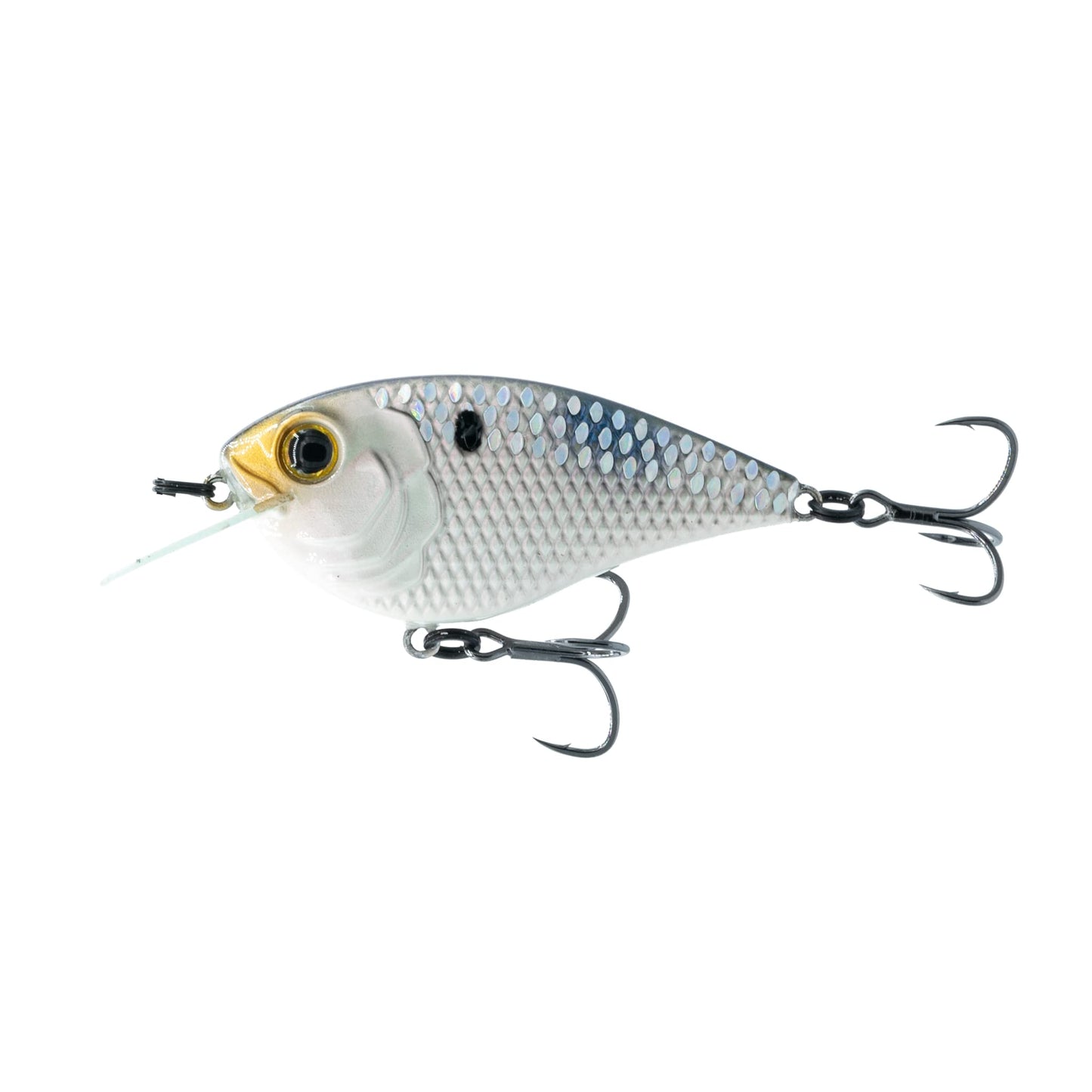 6th Sense Flat Finesse F4 Crankbait – Great Castability with Tight Wobble Action, Internal Weight Transfer for Long Distance Casting, and Circuit Board Bill