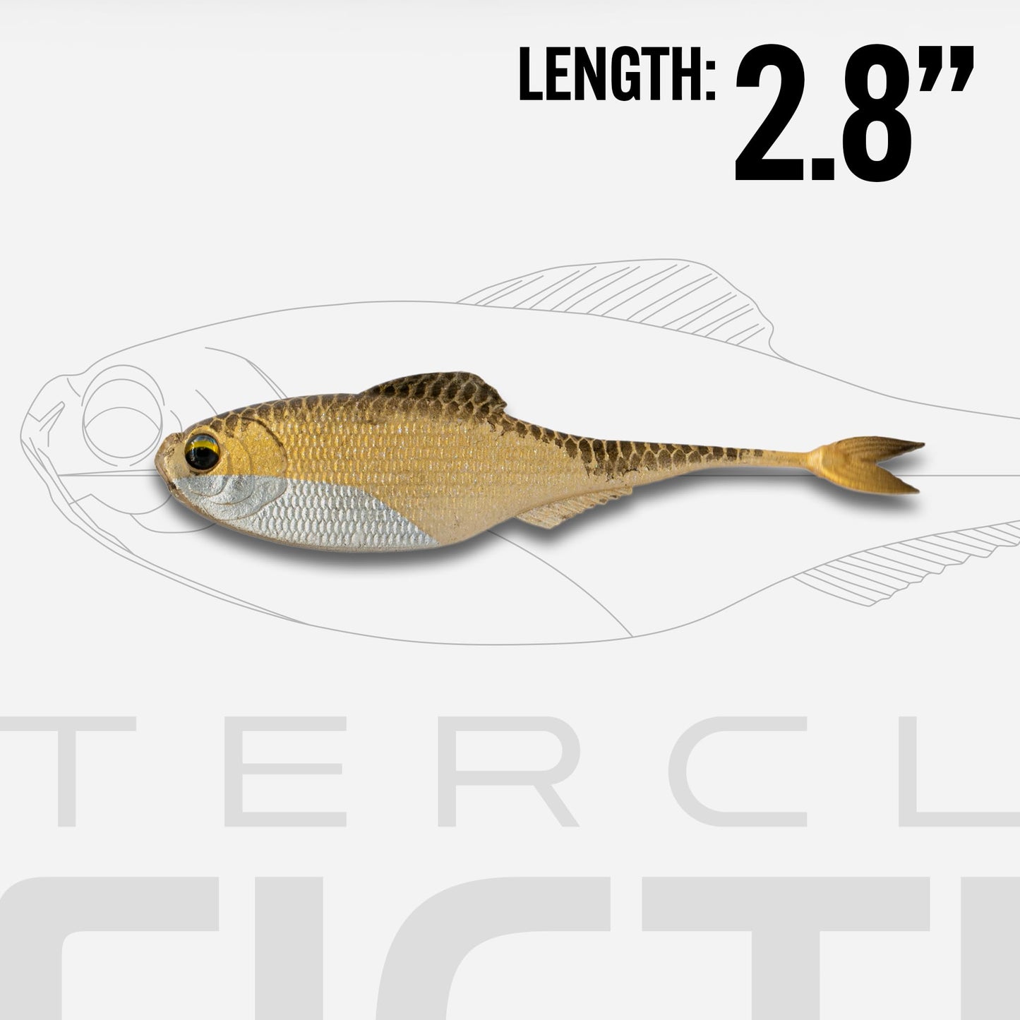 6th Sense – Masterclass Fiction – Shad Soft Plastic Swimbait – Realistic Baitfish Profile – Multiple Bass Fishing Lure