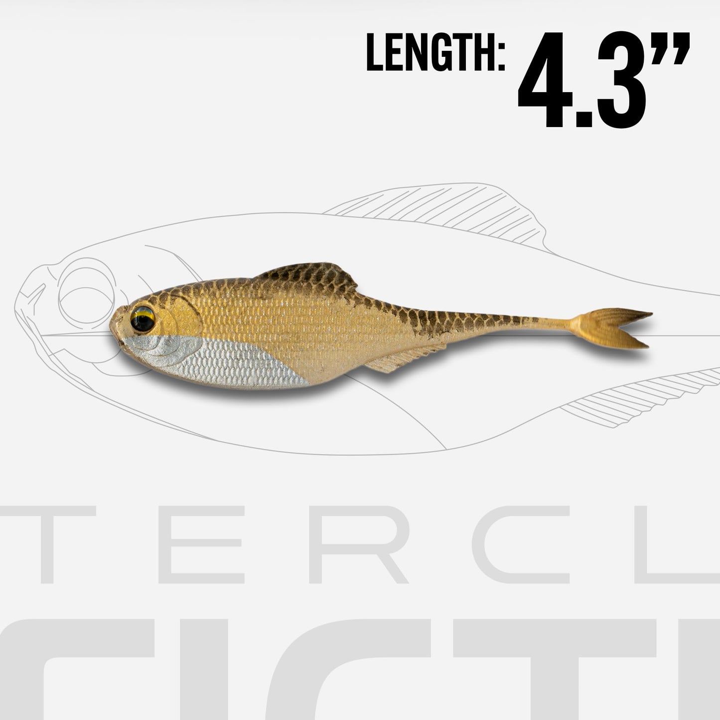 6th Sense – Masterclass Fiction – Shad Soft Plastic Swimbait – Realistic Baitfish Profile – Multiple Bass Fishing Lure