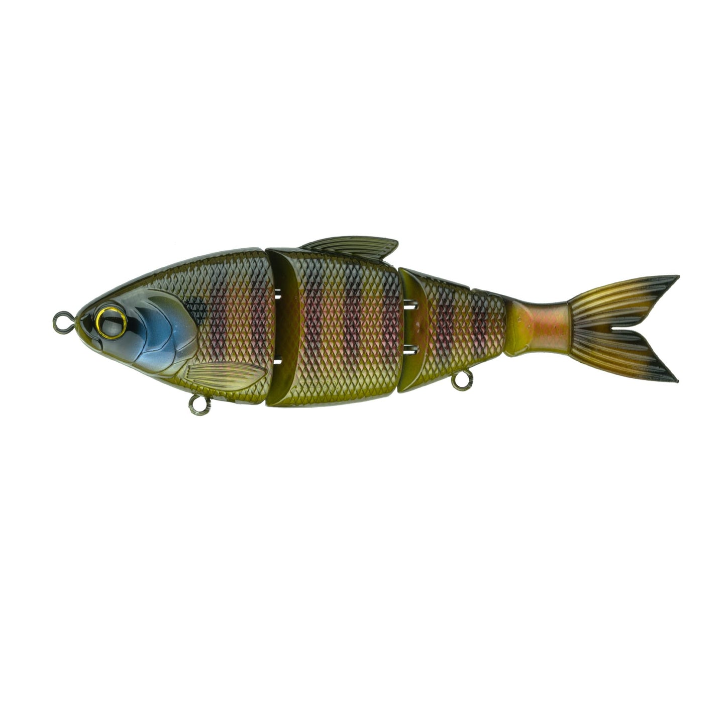 6th Sense – Trace 6.0 – Multi-Jointed Swimbait – Bass Fishing – Floating, Slow Sinking, and Fast Sinking Models – 6in.