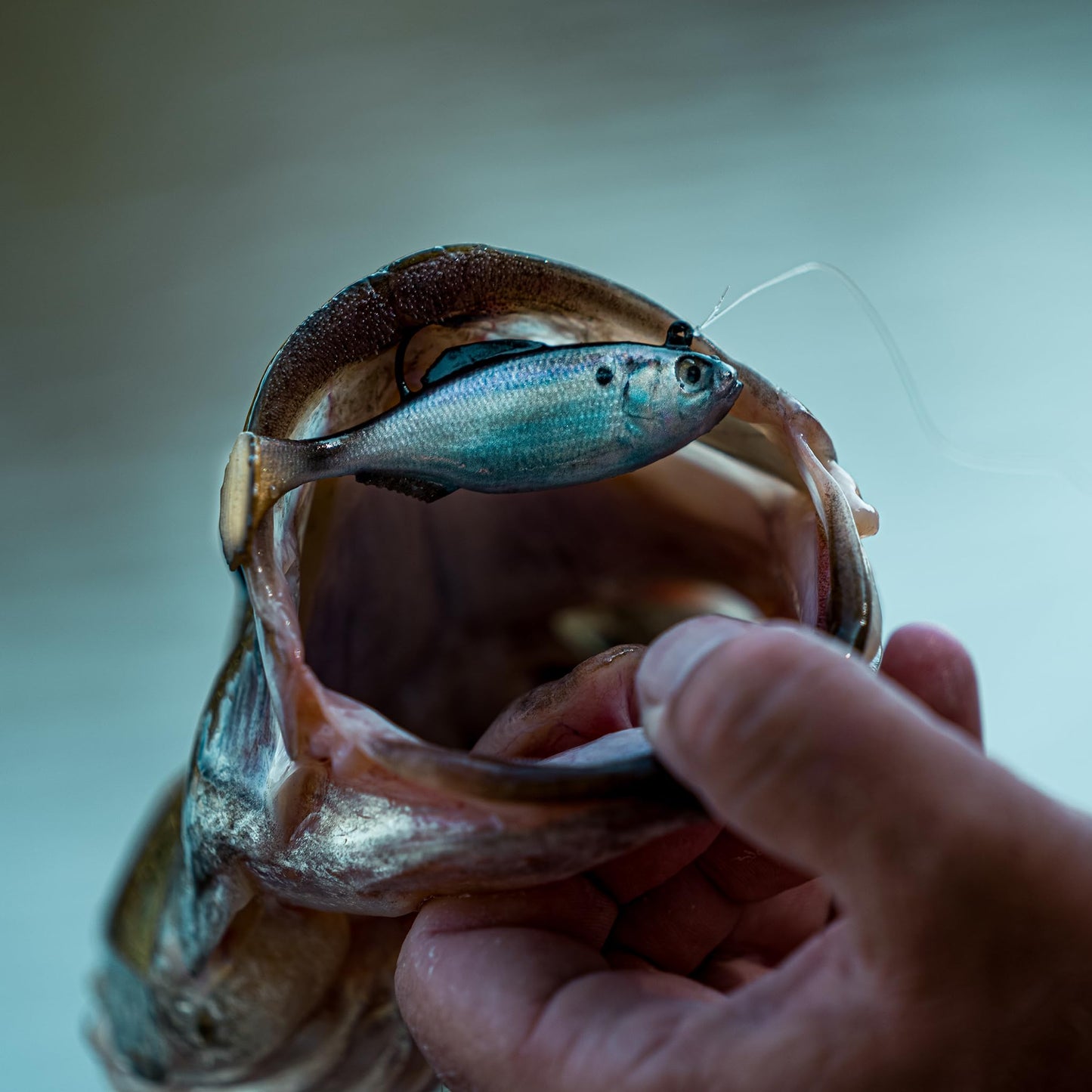6th Sense – Masterclass Pre-Rigged Panorama Swimbait – Pre-Rigged Soft Plastic Swimbait with Hook & Weight – Multiple Realistic Swimming Action