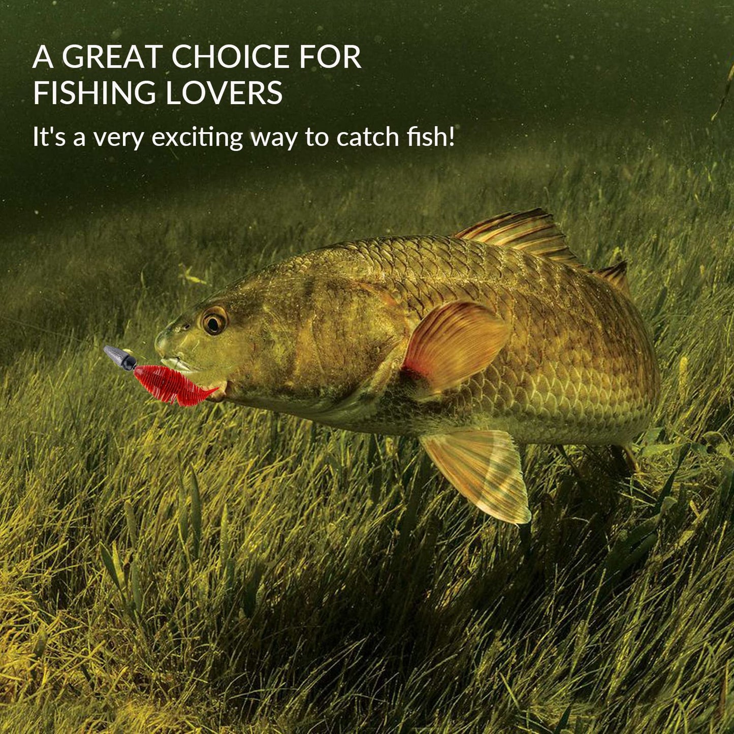THKFISH Soft Swimbait 5/6 PCS or 15/18 PCS Soft Plastic Fishing Lures Bass Lures Swim Baits Lures for Bass Fishing Worms for Bass