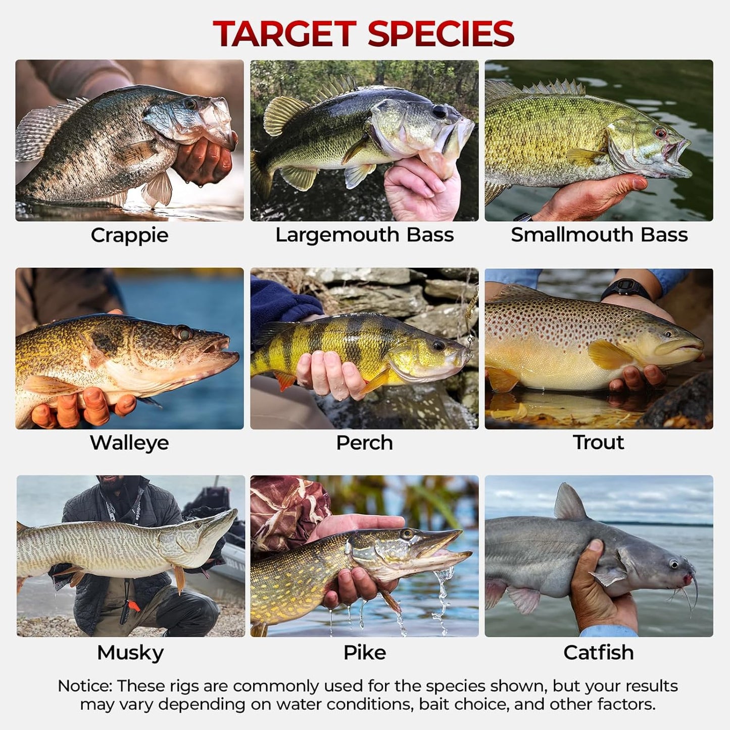 MadBite by KastKing 182/265/400pcs Compact Fishing Tackle Kit - All-in-One Freshwater Hooks, Weights, Bobbers in Tackle Box, Fishing Gear Set for Bass Trout Panfish