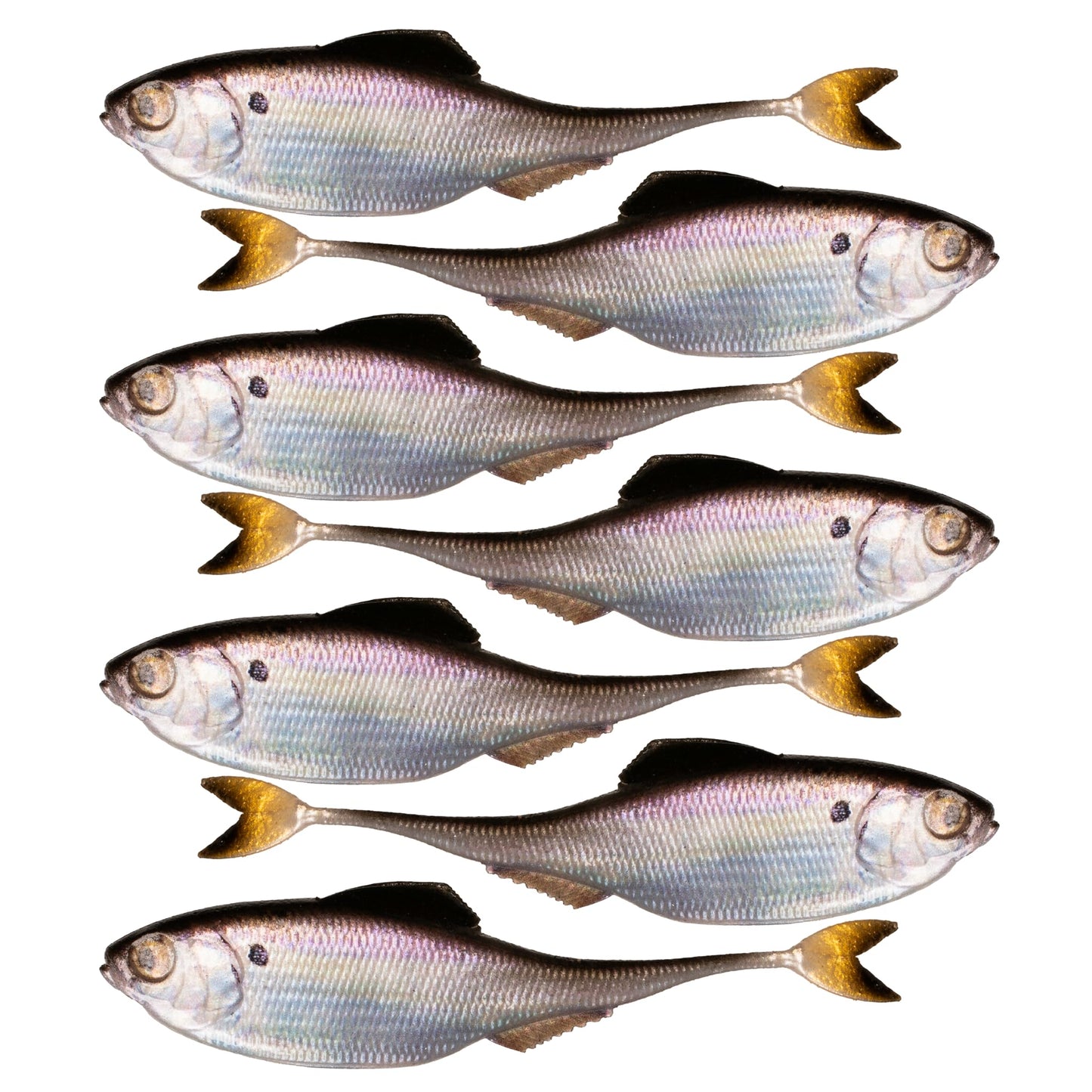 6th Sense – Masterclass Fiction – Shad Soft Plastic Swimbait – Realistic Baitfish Profile – Multiple Bass Fishing Lure