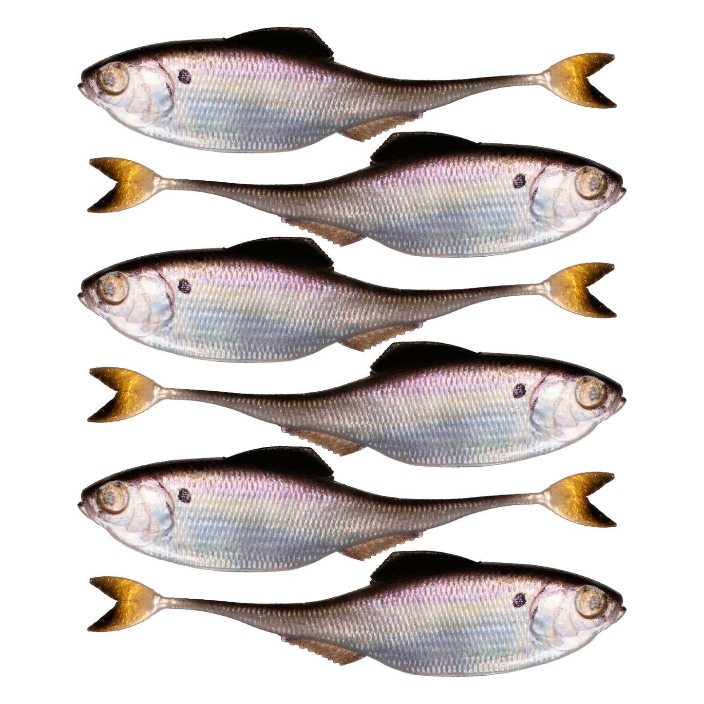 6th Sense – Masterclass Fiction – Shad Soft Plastic Swimbait – Realistic Baitfish Profile – Multiple Bass Fishing Lure