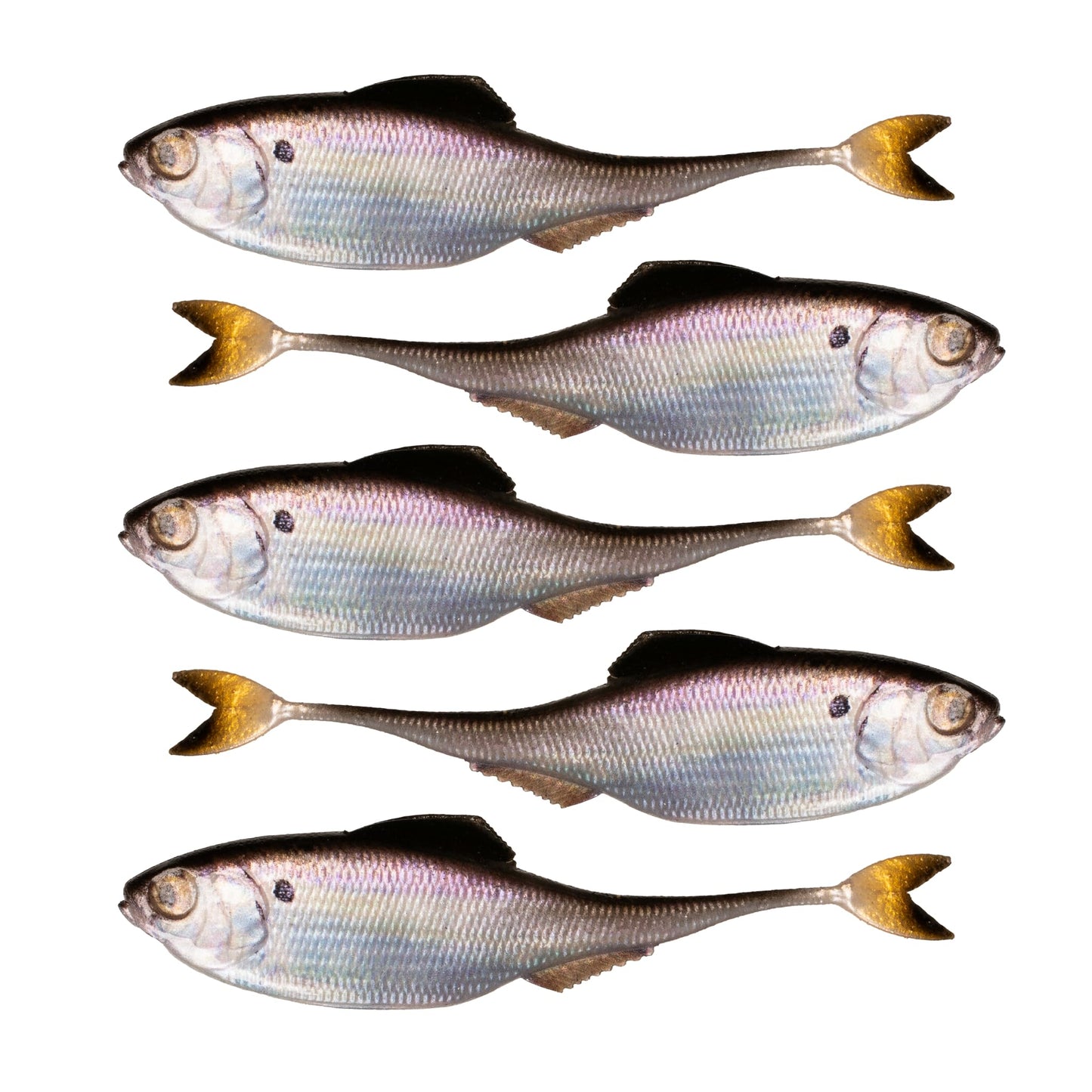 6th Sense – Masterclass Fiction – Shad Soft Plastic Swimbait – Realistic Baitfish Profile – Multiple Bass Fishing Lure