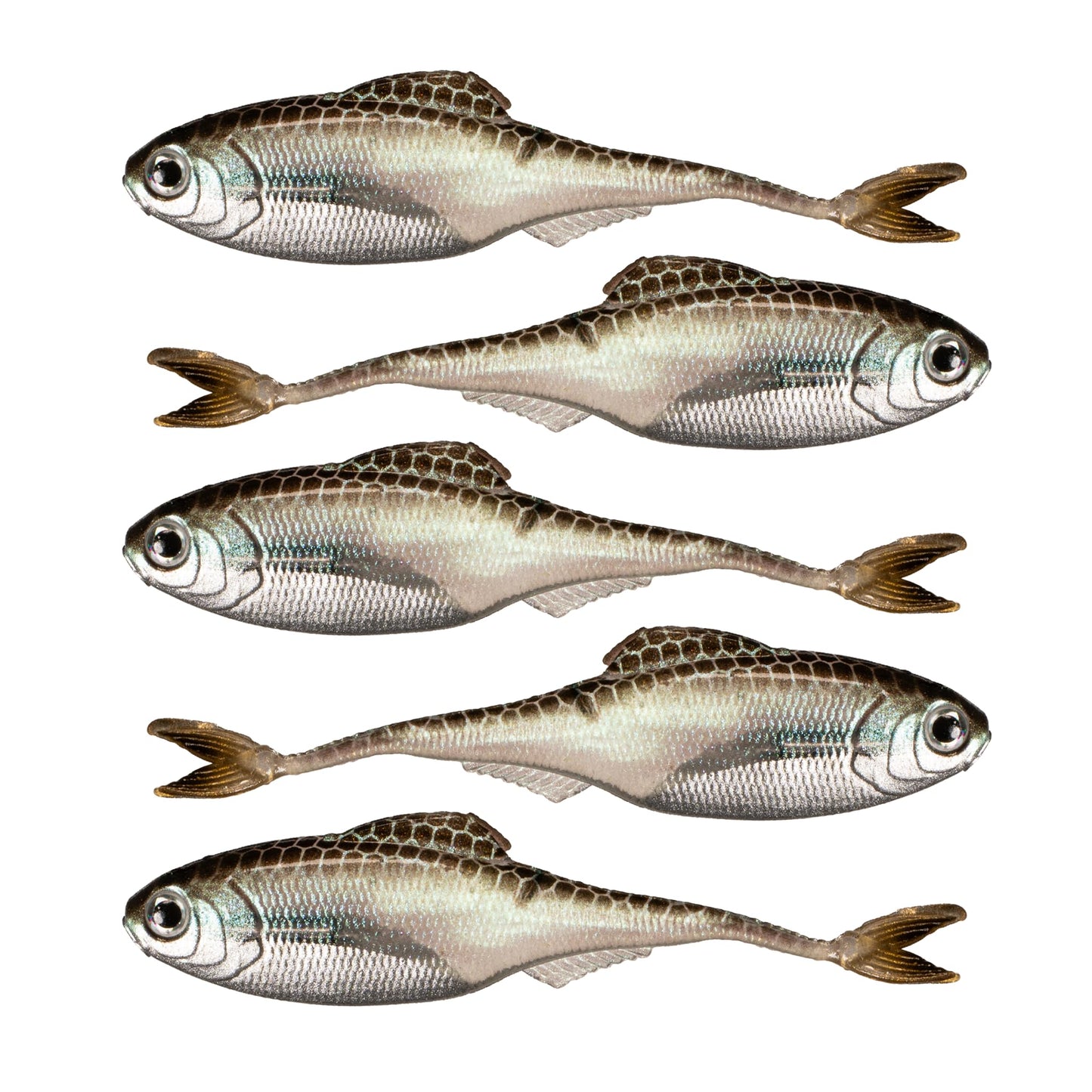 6th Sense – Masterclass Fiction – Shad Soft Plastic Swimbait – Realistic Baitfish Profile – Multiple Bass Fishing Lure