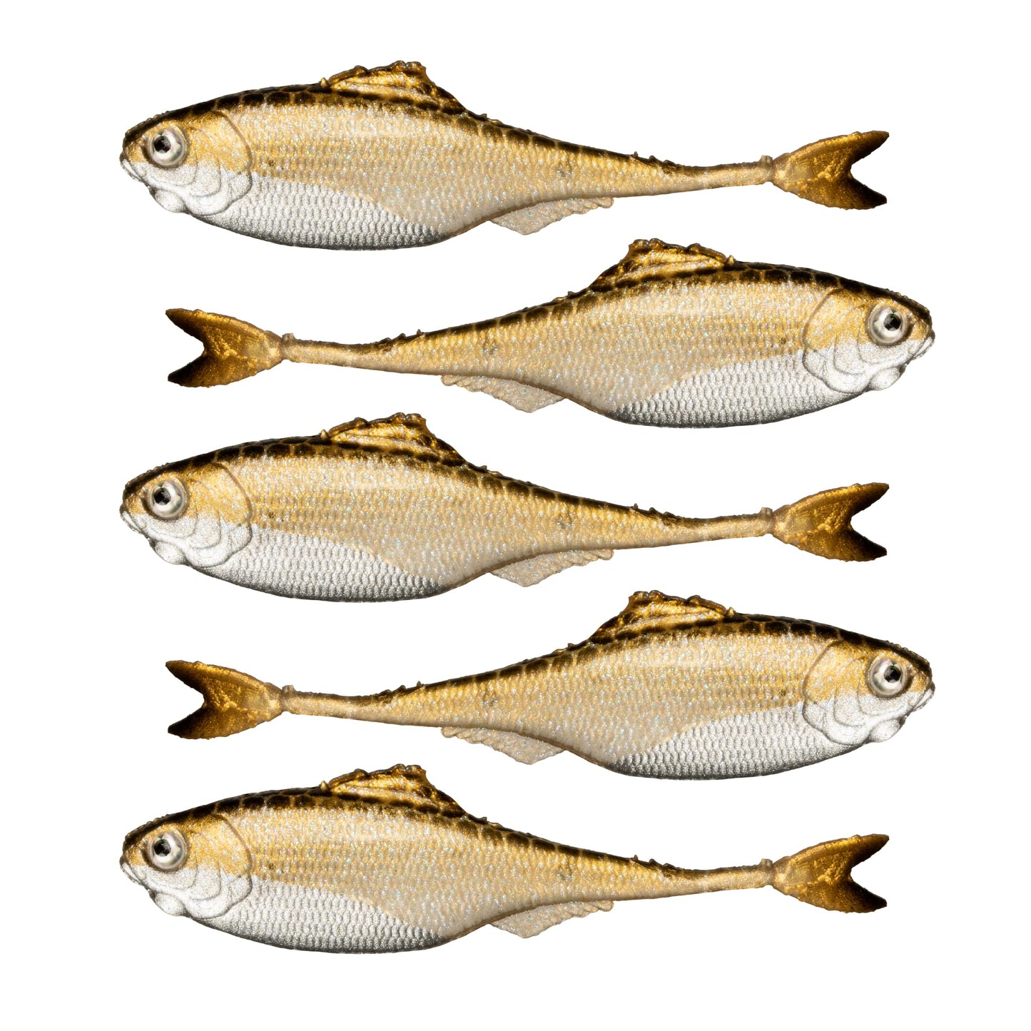 6th Sense – Masterclass Fiction – Shad Soft Plastic Swimbait – Realistic Baitfish Profile – Multiple Bass Fishing Lure