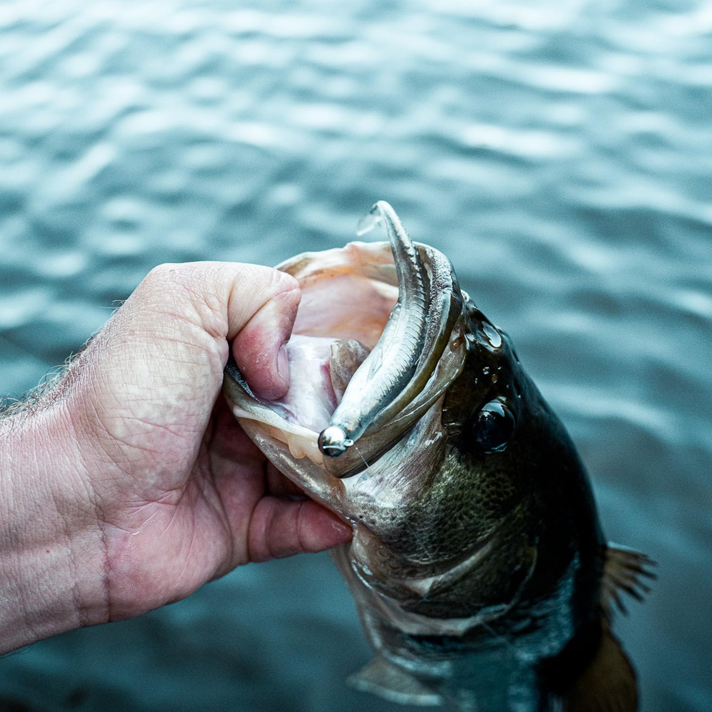 6th Sense Flush 7.5 Heavy – Bass Fishing Lure | Weighted Soft Jerkbait with Keel-Style Belly, Realistic Fins, Level Falling Action, and Ideal 6/0–7/0 Hook Pairing