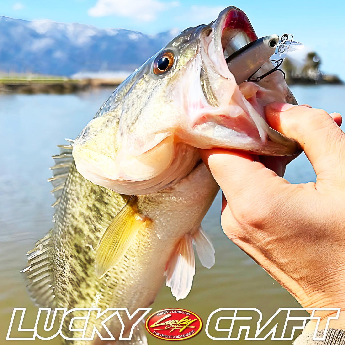 LUCKY CRAFT Premium Fishing Box, Pack of 7 Fishing Lures for Saltwater and Freshwater Fish Including | Bass | Trout | Pike | Musky | Walleye | Halibut | Striped Bass | Seabass |