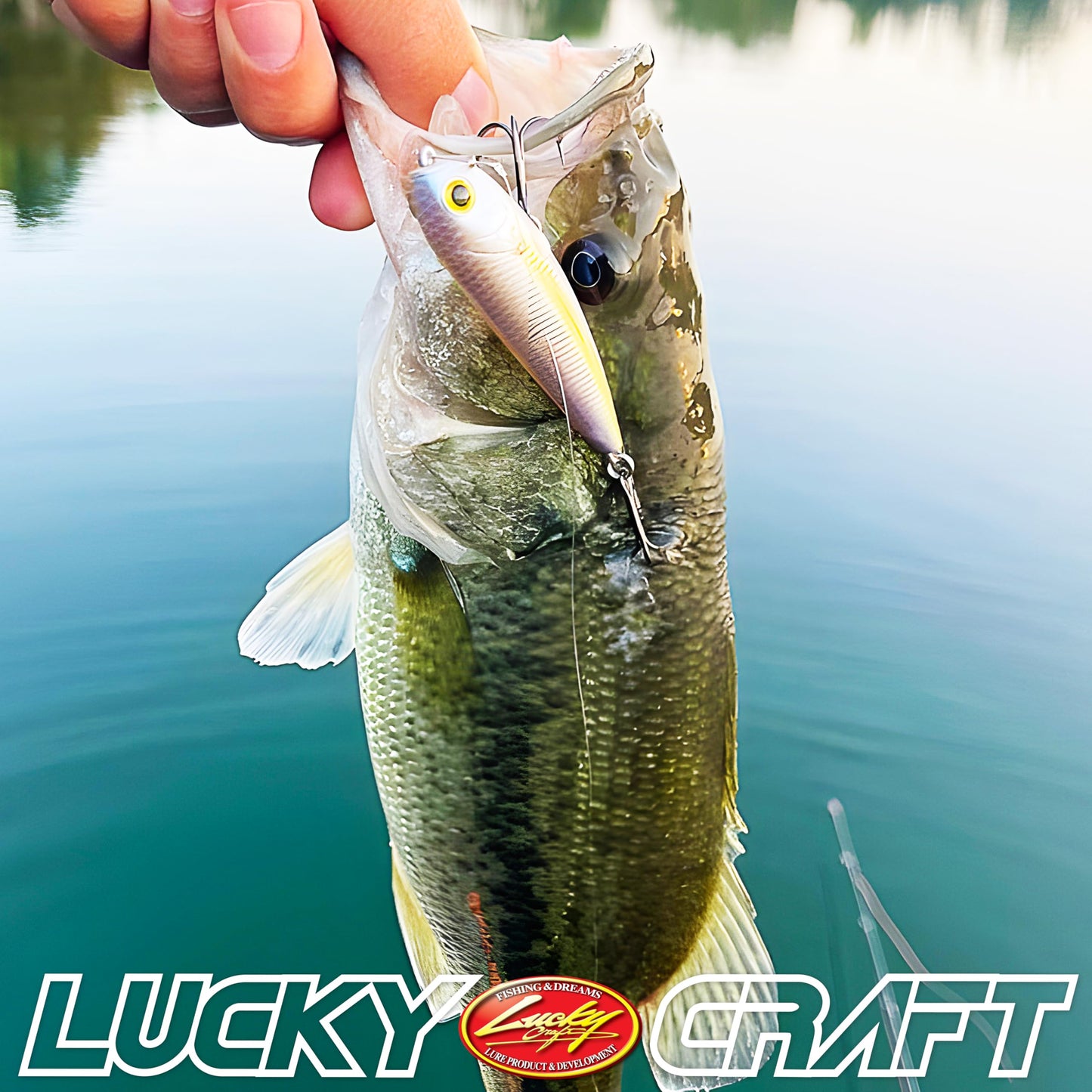 LUCKY CRAFT Premium Fishing Box, Pack of 7 Fishing Lures for Saltwater and Freshwater Fish Including | Bass | Trout | Pike | Musky | Walleye | Halibut | Striped Bass | Seabass |