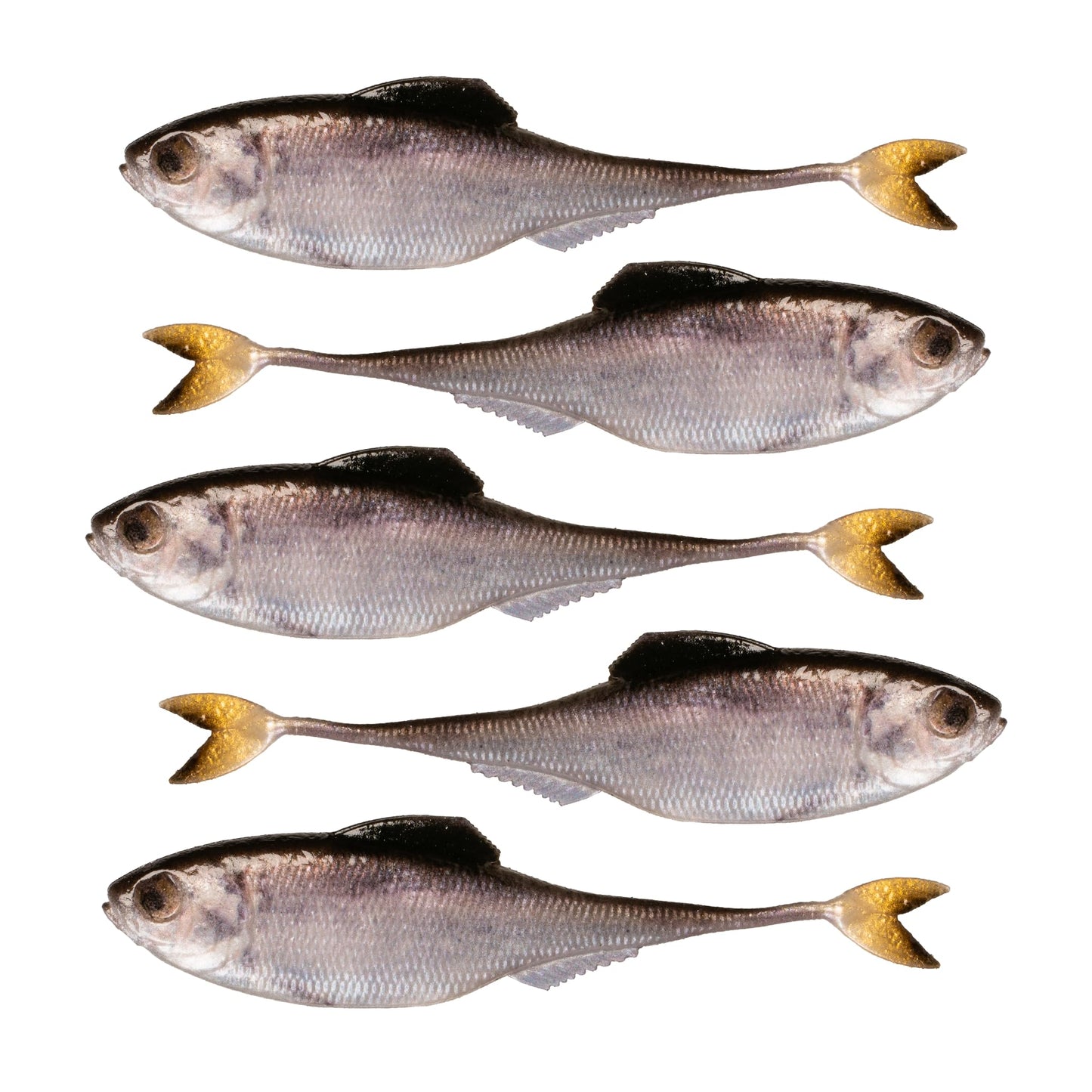 6th Sense – Masterclass Fiction – Shad Soft Plastic Swimbait – Realistic Baitfish Profile – Multiple Bass Fishing Lure