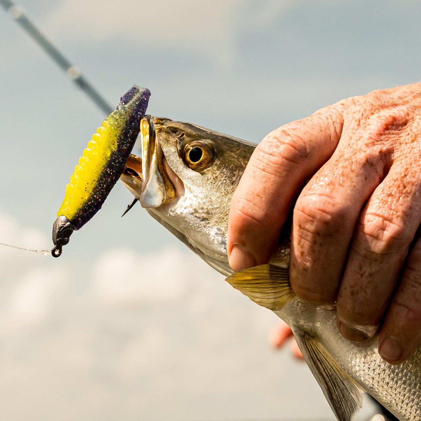 6th Sense – Party Paddle 4.3" – Saltwater Swimbait – Inshore Fishing – Redfish/Trout/Snook – Paddle Tail Soft Plastic