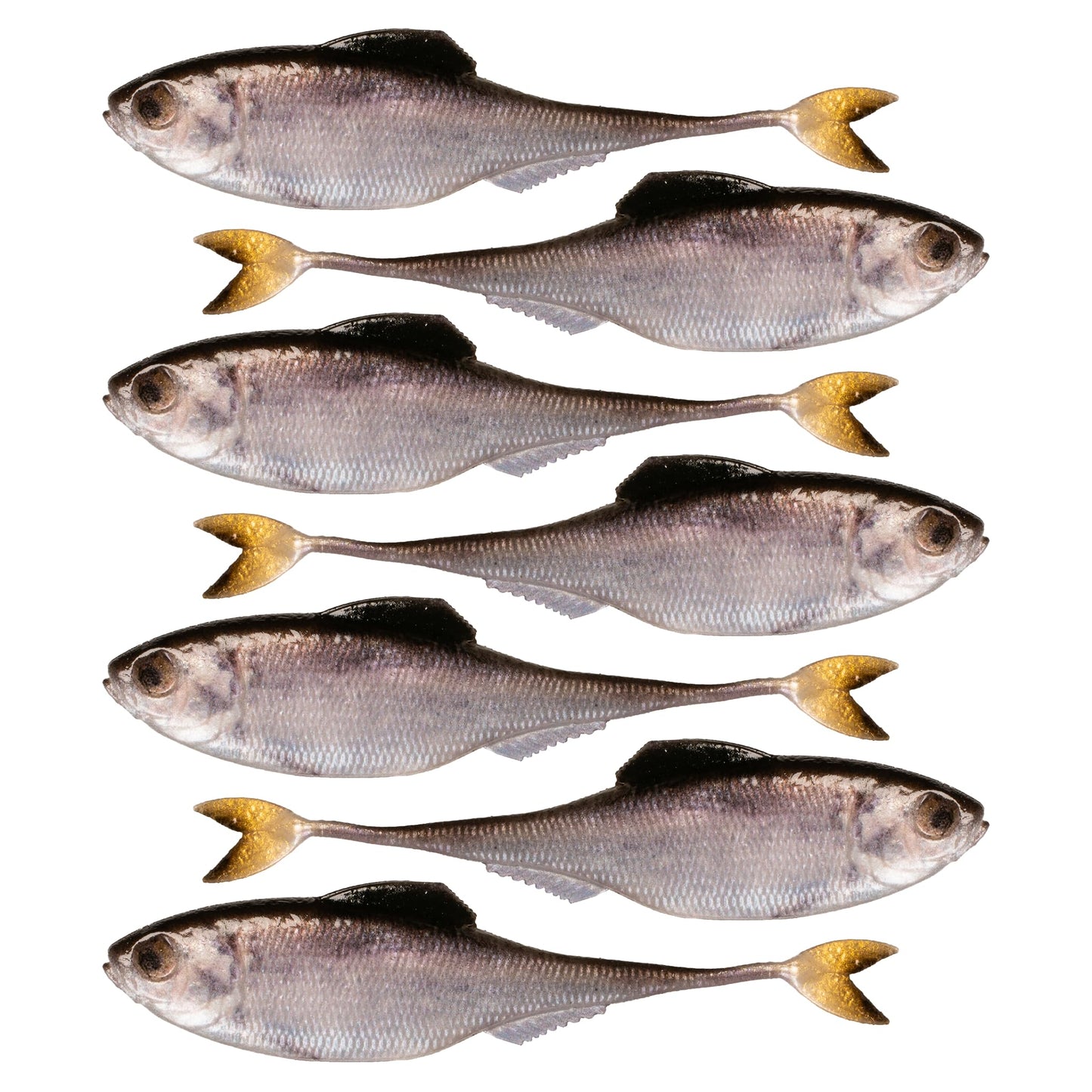 6th Sense – Masterclass Fiction – Shad Soft Plastic Swimbait – Realistic Baitfish Profile – Multiple Bass Fishing Lure