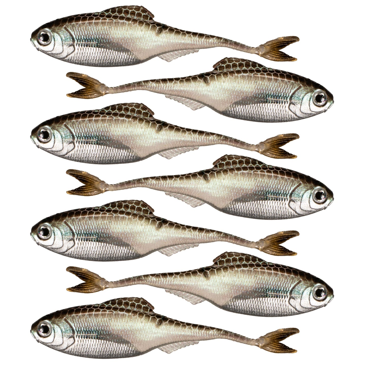 6th Sense – Masterclass Fiction – Shad Soft Plastic Swimbait – Realistic Baitfish Profile – Multiple Bass Fishing Lure