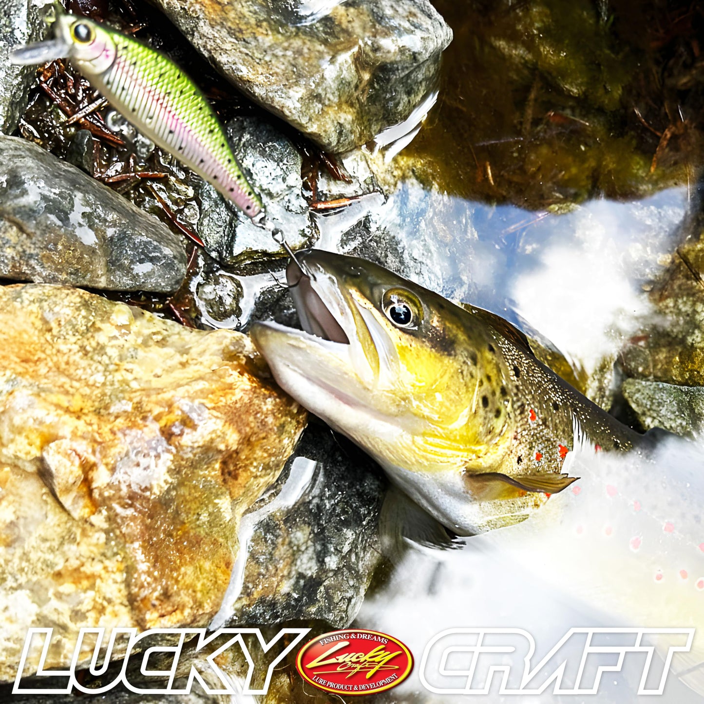 LUCKY CRAFT Premium Fishing Box, Pack of 7 Fishing Lures for Saltwater and Freshwater Fish Including | Bass | Trout | Pike | Musky | Walleye | Halibut | Striped Bass | Seabass |