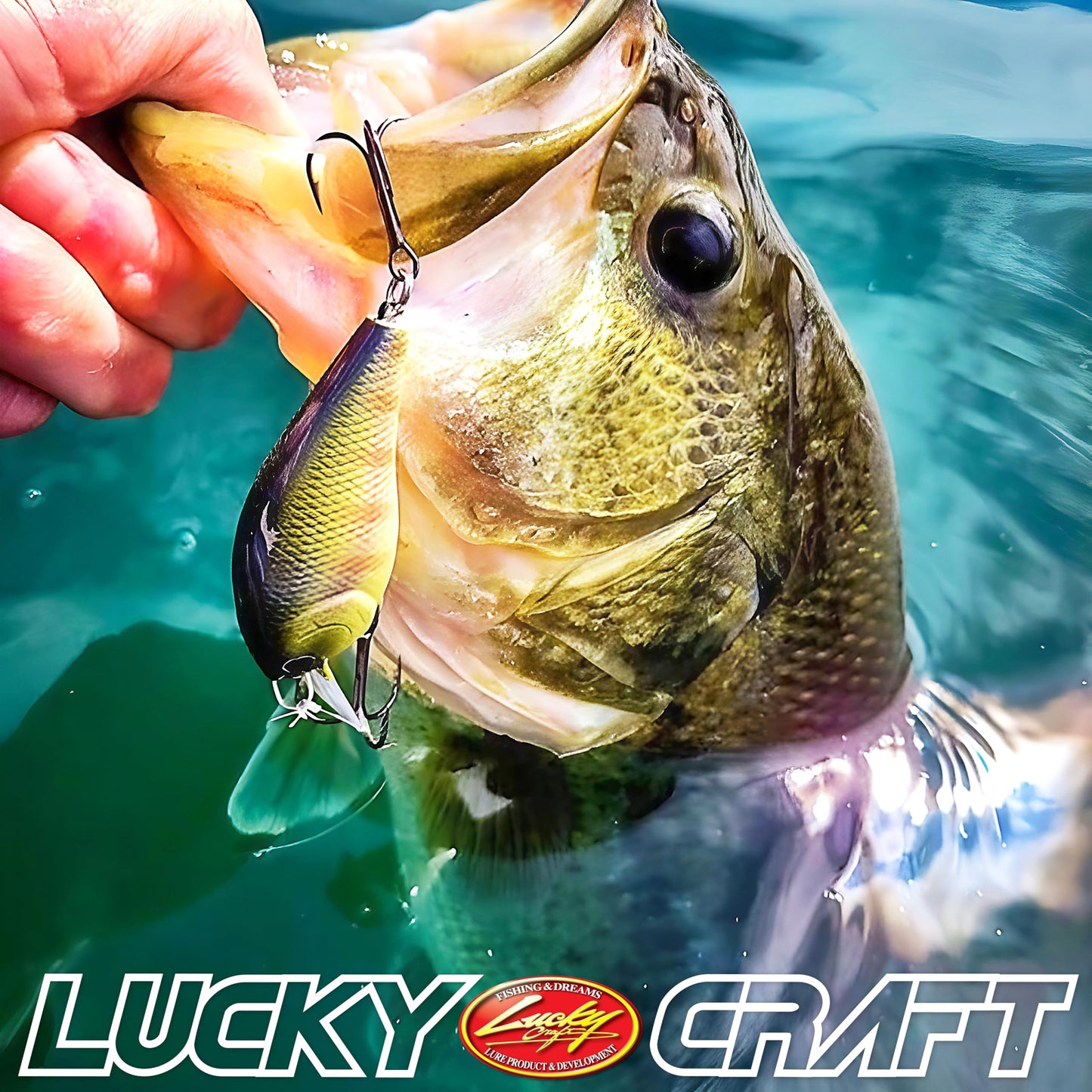 LUCKY CRAFT Premium Fishing Box, Pack of 7 Fishing Lures for Saltwater and Freshwater Fish Including | Bass | Trout | Pike | Musky | Walleye | Halibut | Striped Bass | Seabass |